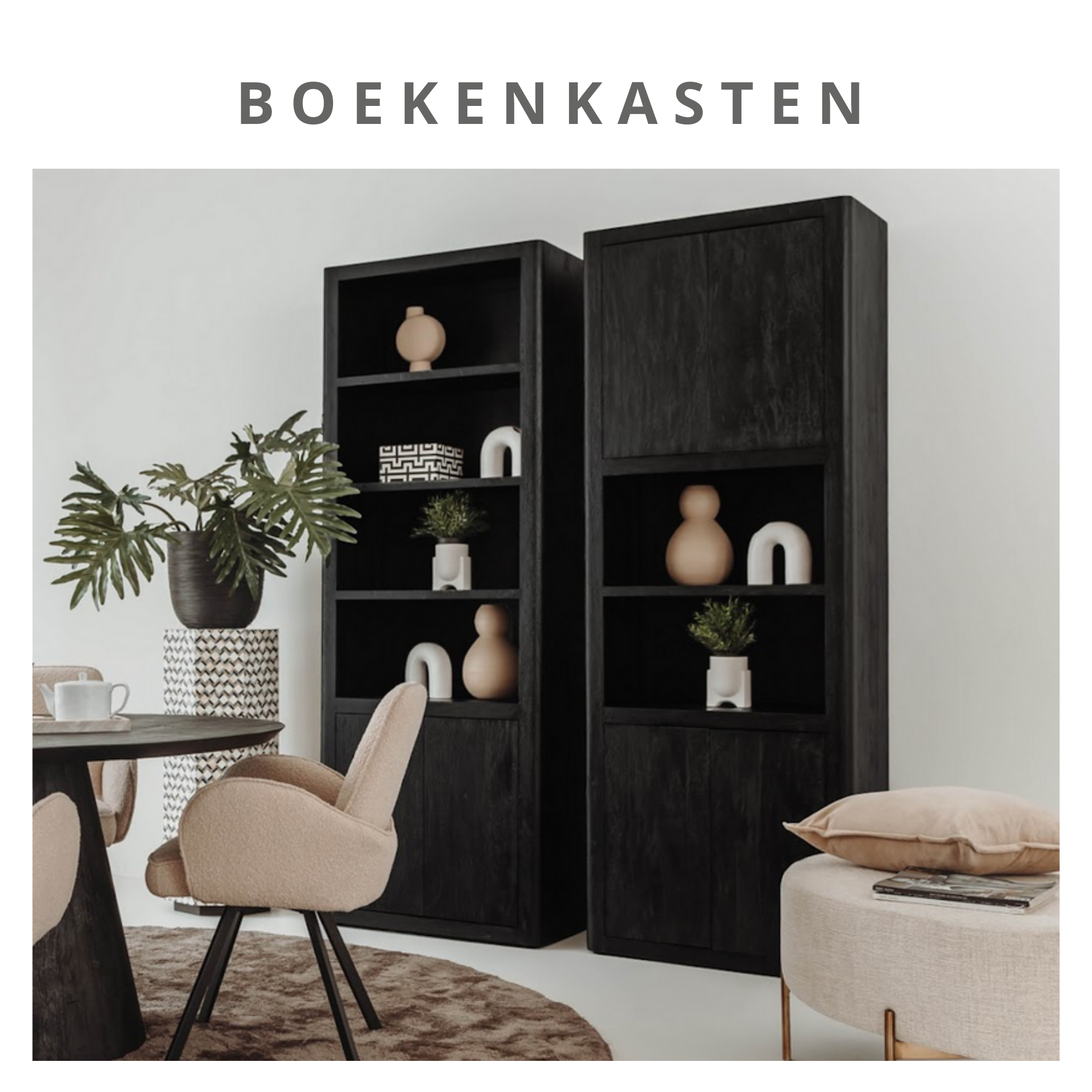 Boekenkast-2.png